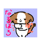 【大人かわいい】シーズー犬スタンプ☆（個別スタンプ：38）