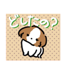 【大人かわいい】シーズー犬スタンプ☆（個別スタンプ：40）