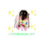 おかんちのノアくん（個別スタンプ：1）