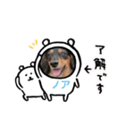 おかんちのノアくん（個別スタンプ：7）