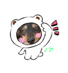 おかんちのノアくん（個別スタンプ：10）