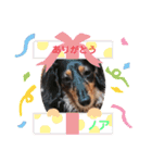 おかんちのノアくん（個別スタンプ：12）
