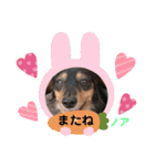 おかんちのノアくん（個別スタンプ：13）