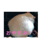ふぁんしーらっト（個別スタンプ：8）