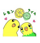 インコのレモン♡ライム2（個別スタンプ：1）