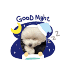 ビションのミルクくん♡（個別スタンプ：3）