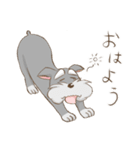 シュナとシュナおじさん（個別スタンプ：1）