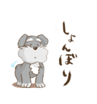 シュナとシュナおじさん（個別スタンプ：7）