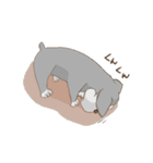 シュナとシュナおじさん（個別スタンプ：30）