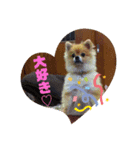 モカちゃんスタンプ Version.1（個別スタンプ：1）