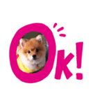 モカちゃんスタンプ Version.1（個別スタンプ：2）