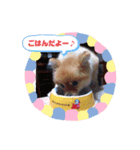モカちゃんスタンプ Version.1（個別スタンプ：4）