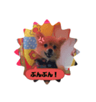 モカちゃんスタンプ Version.1（個別スタンプ：8）