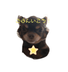 ちょこさまらいふ（個別スタンプ：7）