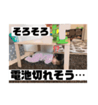 瀬川家スタンプ 2（個別スタンプ：26）