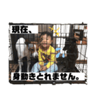 瀬川家スタンプ 2（個別スタンプ：29）
