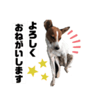 瀬川家スタンプ 2（個別スタンプ：33）
