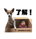 瀬川家スタンプ 2（個別スタンプ：34）