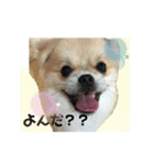はじめまして。ワラワラと申します。（個別スタンプ：1）