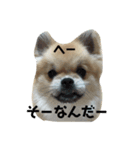はじめまして。ワラワラと申します。（個別スタンプ：2）