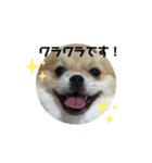 はじめまして。ワラワラと申します。（個別スタンプ：4）