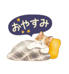 ともだち☆猫たちのスタンプ2（個別スタンプ：5）