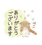 ともだち☆猫たちのスタンプ2（個別スタンプ：10）