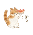 ともだち☆猫たちのスタンプ2（個別スタンプ：28）