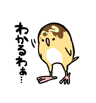 たこ焼き鳥（個別スタンプ：30）