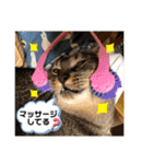 トリーズ＆ネコーズ 2（個別スタンプ：18）