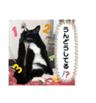 トリーズ＆ネコーズ 2（個別スタンプ：20）