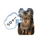 トリーズ＆ネコーズ 2（個別スタンプ：30）