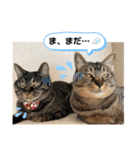 トリーズ＆ネコーズ 2（個別スタンプ：32）