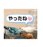 トリーズ＆ネコーズ 2（個別スタンプ：33）