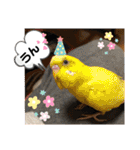 トリーズ＆ネコーズ 2（個別スタンプ：34）