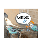 トリーズ＆ネコーズ 2（個別スタンプ：36）