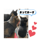 トリーズ＆ネコーズ 2（個別スタンプ：40）