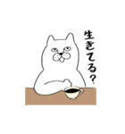 マイペースネコチャン（個別スタンプ：5）