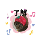 ととまるとの生活 1（個別スタンプ：9）