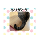 ととまるとの生活 1（個別スタンプ：17）