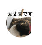 ととまるとの生活 1（個別スタンプ：22）