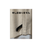 ととまるとの生活 1（個別スタンプ：23）