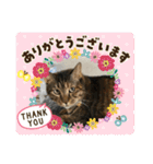 ととまるとの生活 1（個別スタンプ：26）