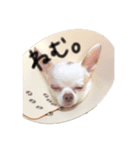 らむるーの一言。（個別スタンプ：4）