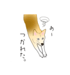 コロンのいる生活（個別スタンプ：4）