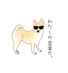 コロンのいる生活（個別スタンプ：5）