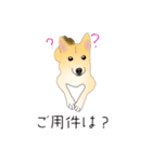 コロンのいる生活（個別スタンプ：6）