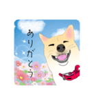 コロンのいる生活（個別スタンプ：7）