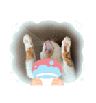 私の大切な友達たち2（個別スタンプ：2）