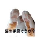 私の大切な友達たち（個別スタンプ：2）